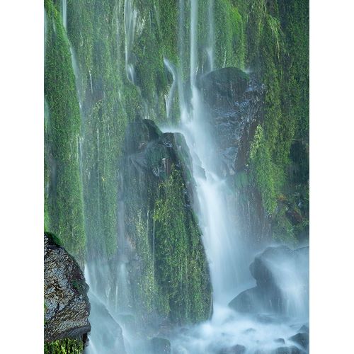 Wild, Jamie and Judy 아티스트의 Oregon-Columbia River Gorge National Scenic Area-Lancaster Falls작품입니다.